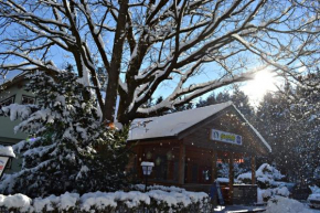 Römerhütte, Sankt Lorenzen Am Wechsel, Österreich